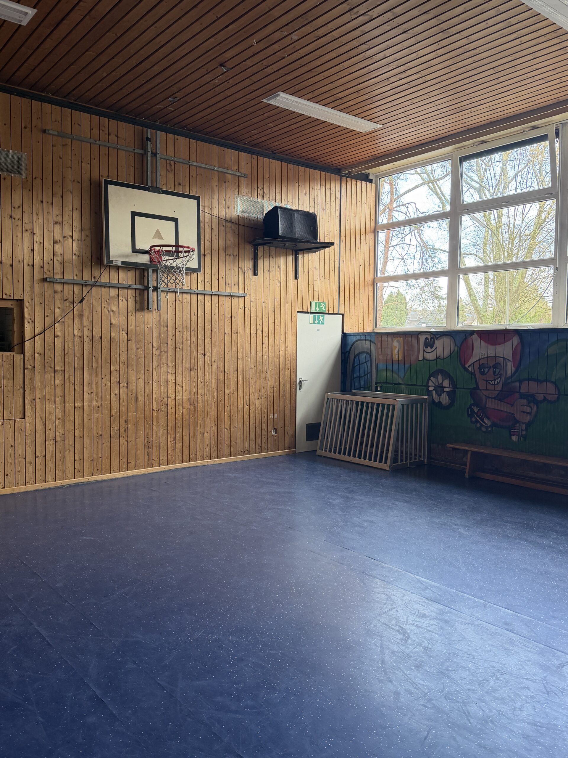 Kleine Sporthalle mit Basketballkorb, blauem Hallenboden und holzverkleideten Wänden. Große Fenster lassen Tageslicht herein, an einer Wand ist ein buntes Wandbild zu sehen.