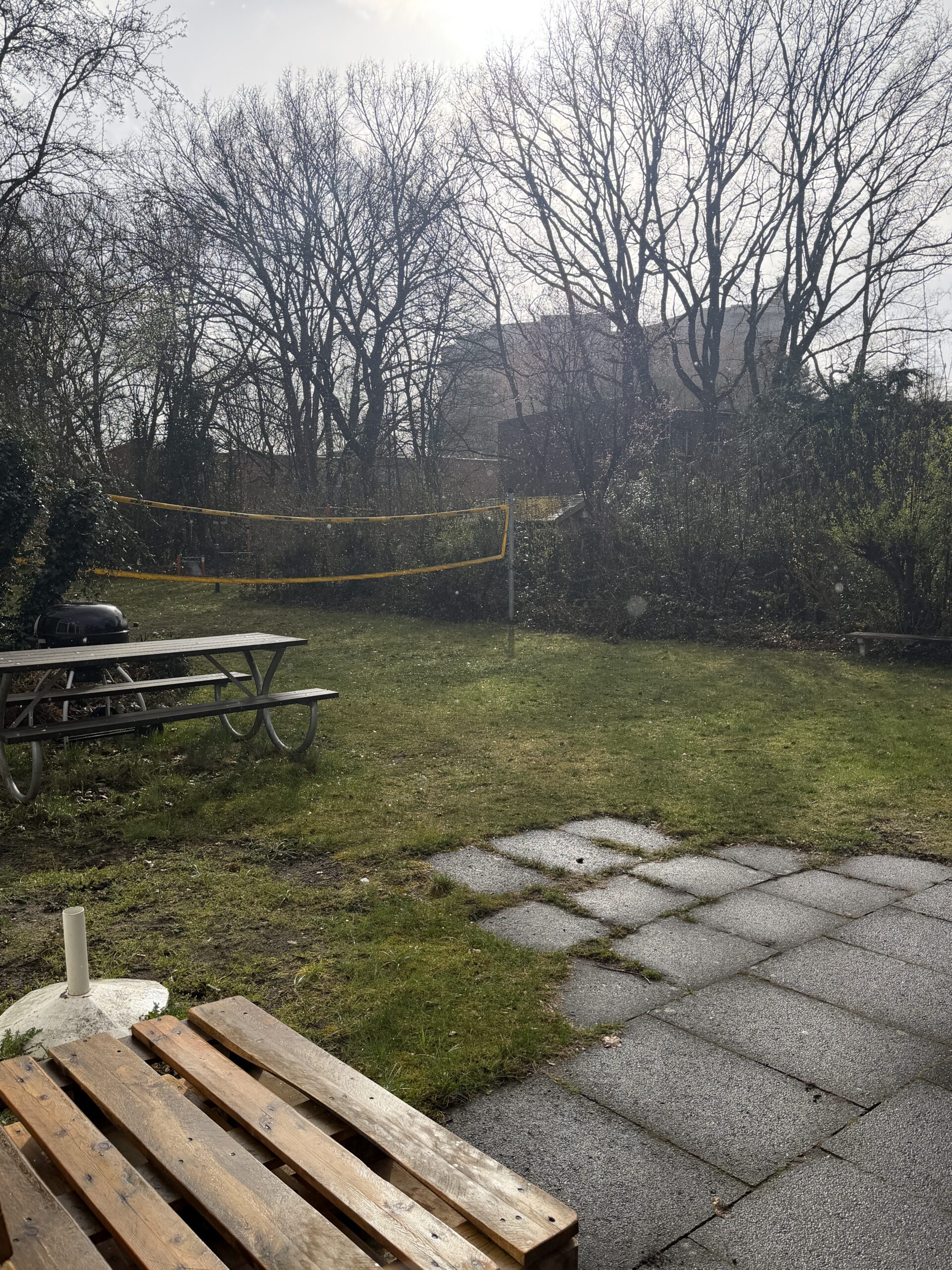 Außenbereich mit Terrasse und Rasen. Einige Bäume zäumen den Bereich.